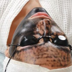 cover video hollywood peel visage